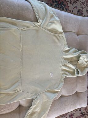 Nike Sage Green Pullover Hoodie with Embroidered Swoosh